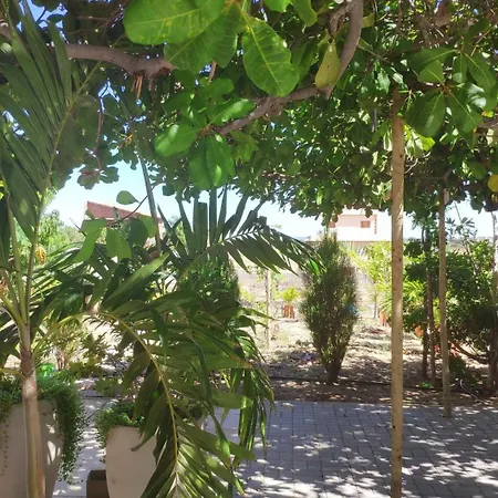 Anexo Da Casa De Campo - 2/4 Com Piscina Petrolina Exterior photo