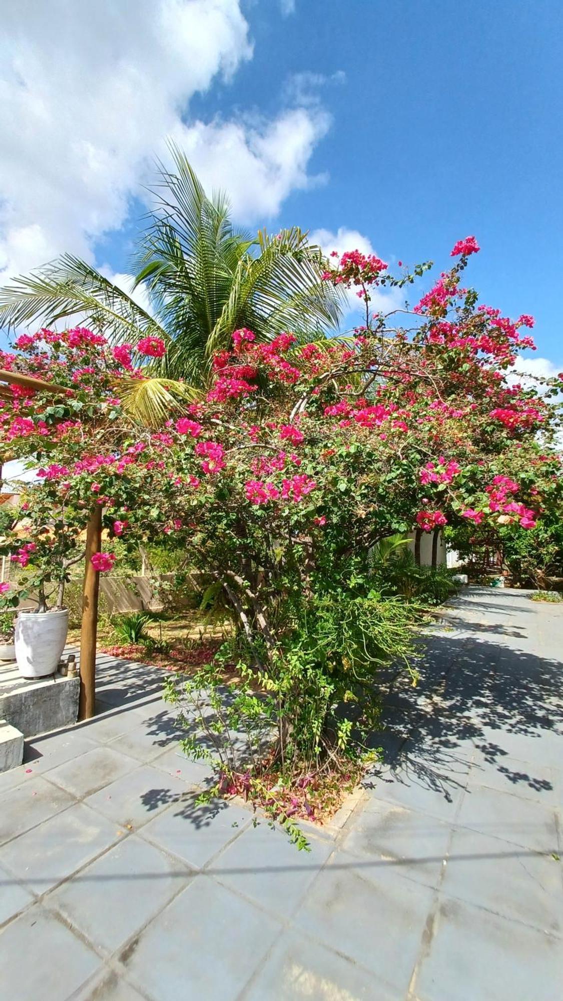 Anexo Da - 2/4 Com Piscina Holiday home *
